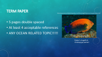 PAPERPres.pdf